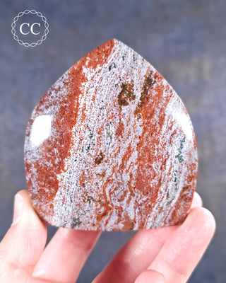 A hand holding an Ocean Jasper Shield from Madagascar