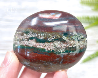 Ocean Jasper Chunky Palm Stone #2