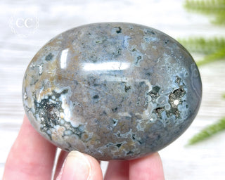 Ocean Jasper Chunky Palm Stone #8