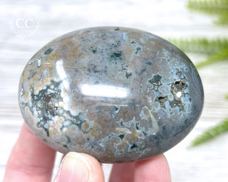 Ocean Jasper Chunky Palm Stone #8