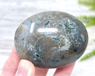 Ocean Jasper Chunky Palm Stone #8