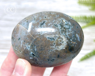 Ocean Jasper Chunky Palm Stone #8