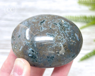 Ocean Jasper Chunky Palm Stone #8