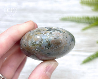 Ocean Jasper Chunky Palm Stone #8