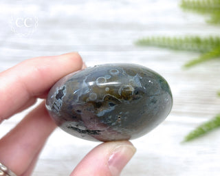 Ocean Jasper Chunky Palm Stone #8