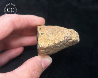 Oco Geode #7