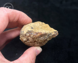 Oco Geode #3