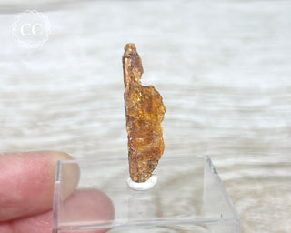 Orange Kyanite Crystal #5