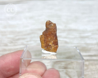 Orange Kyanite Crystal #2