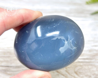 Orca Agate Chunky Palm Stone #1