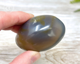 Orca Agate Chunky Palm Stone #2