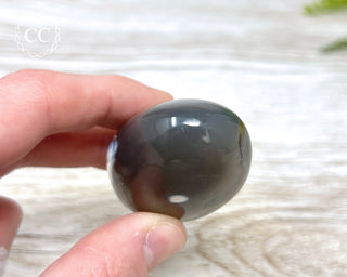 Orca Agate Chunky Palm Stone #2