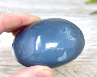 Orca Agate Chunky Palm Stone #1