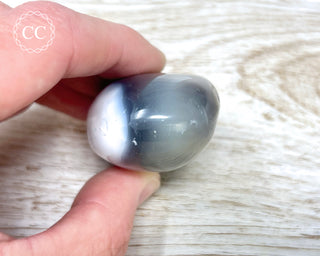 Orca Agate Chunky Palm Stone #3