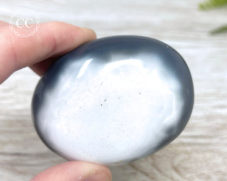 Orca Agate Chunky Palm Stone #1