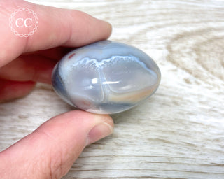 Orca Agate Chunky Palm Stone #4
