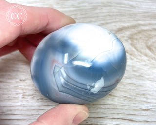 Orca Agate Chunky Palm Stone #5