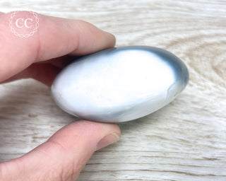 Orca Agate Chunky Palm Stone #5