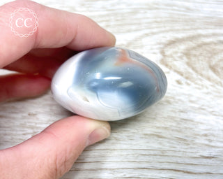 Orca Agate Chunky Palm Stone #5