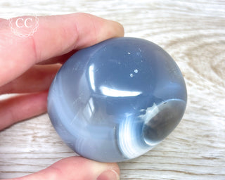 Orca Agate Chunky Palm Stone #6