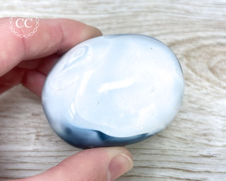 Orca Agate Chunky Palm Stone #1