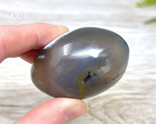 Orca Agate Chunky Palm Stone #2