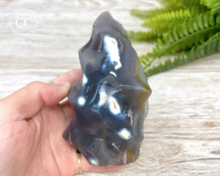 Orca Agate Flame #1