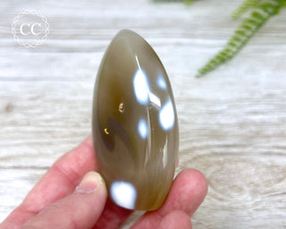 Orca Agate Freeform #2