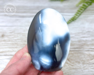 Orca Agate Freeform #3