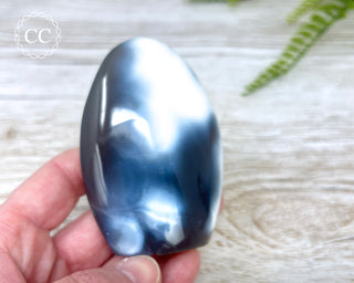 Orca Agate Freeform #3