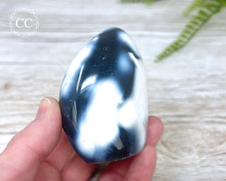 Orca Agate Freeform #4