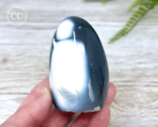 Orca Agate Freeform #4