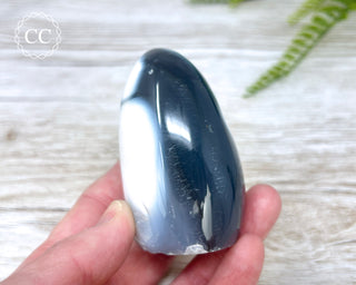Orca Agate Freeform #4