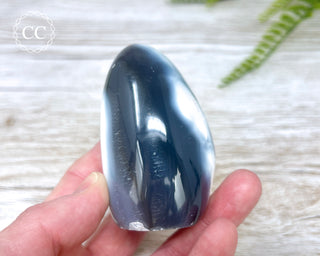 Orca Agate Freeform #4
