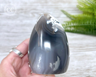 Orca Agate Freeform #3