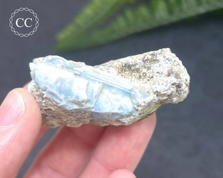 Owyhee Blue Opal Specimen #1