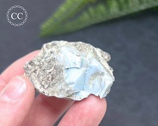 Owyhee Blue Opal Specimen #2