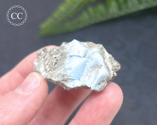 Owyhee Blue Opal Specimen #2