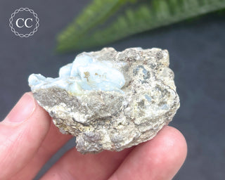 Owyhee Blue Opal Specimen #3