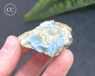 Owyhee Blue Opal Specimen #3