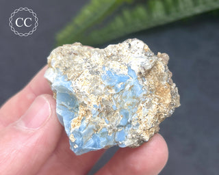 Owyhee Blue Opal Specimen #5