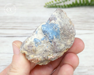 Owyhee Blue Opal Specimen #4