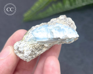 Owyhee Blue Opal Specimen #1