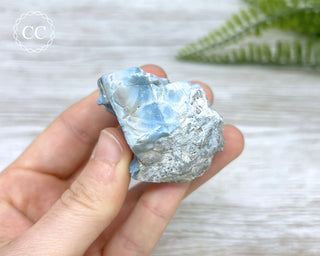 Owyhee Blue Opal Specimen #8