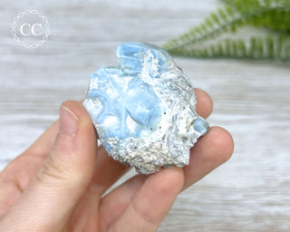 Owyhee Blue Opal Specimen #8