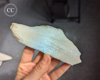 Blue Moonstone Slice #1