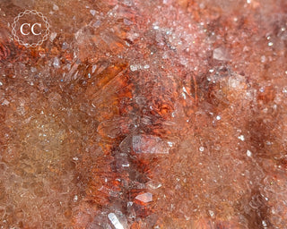 Red Flower Amethyst #1