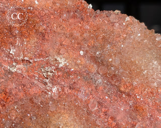 Red Flower Amethyst #1