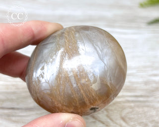 Peach Moonstone Palm Stone #1