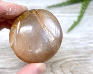 Peach Moonstone Chunky Palm Stone #1